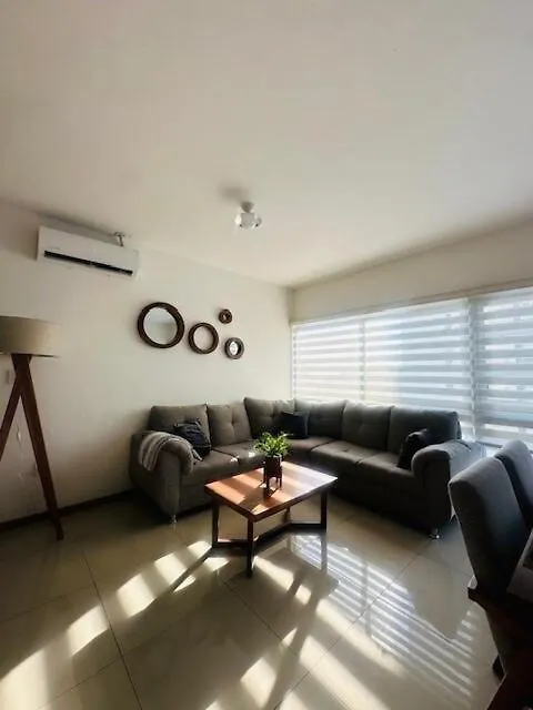 Daire Vista Vibes Modern Apt With Rooftop Pool In Gdl Guadalajara